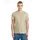 Base-s braun XS