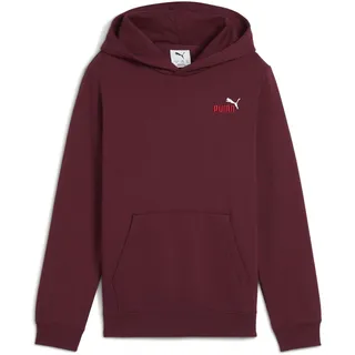 Puma ESS 2 Color Small No. 1 Logo Hoodie FL B
