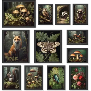 97 Decor Cottagecore Raumdekor Ästhetisch – Cottage Core Wanddekoration, dunkles Cottagecore Dekor, Vintage botanischer Wandkunstdruck, Naturpilz-Poster, Tierbilder für Schlafzimmerdekorationen