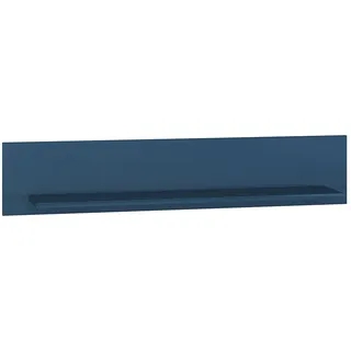 Feldmann-Wohnen Wandboard 120 x 23 x 22 cm Blau