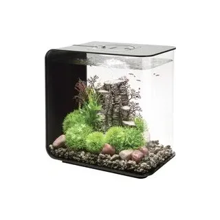 Oase 72033 biOrb FLOW 30 LED schwarz Aquarium 30 l mit LED-Beleuchtung