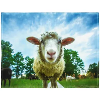 YISUMEI Decke 150x200 cm Kuscheldecken Sanft Flanell Weich Fleecedecke Nettes Schaf Muster