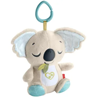 Mattel Fisher-Price für unterwegs mit Sound, bunt
