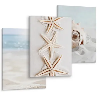 Muralo Leinwandbilder 3-er Set Muscheln Strand , Textil , Wasser/Strand/Meer , Rechteckig , 90x40 cm , Bilder & Rahmen, Bilder