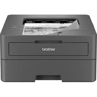 Brother HL-L2402D - Grau