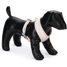 Beeztees Filana (M, Hund, Spazieren), Halsband + Leine