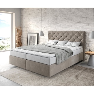 DeLife Boxspringbett Dream-Great 160x200 cm Mikrofaser Beige mit Matratze und Topper,