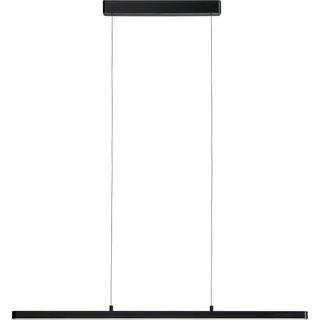 Paulmann Lento 1-flg. 150 cm schwarz