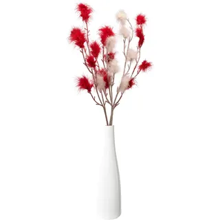creativ home "Vase mit Federzweigen", für die moderne Einrichtung,