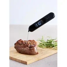 Day, Grillthermometer, TAG - BRATENTHERMOMETER SPEER MIT INFRAROT