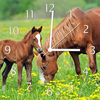 Wallario Design Wanduhr Pferde auf der Koppel aus Echtglas, Größe 30 x 30 cm - Grün