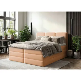 Mid.you Boxspringbett , Terracotta , Kunststoff , H2 + H3 , 160x200 cm , Bettkasten, gepolstertes Kopfteil, Topper durchgehend, Wendematratze mit unterschiedlichen Härtegraden, Matratze geteilt , Holzmöbel, Holzbetten, Boxspringbetten Holz