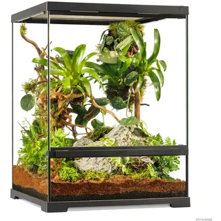 Exo Terra Pro Glasterrarium | Terrarium für Reptilien | 45 x 45 x 60 cm | Verschließbare Fronttür, Edelstahl-Netzgitter, Belüftungssystem, Beregnungssystem-kompatibel