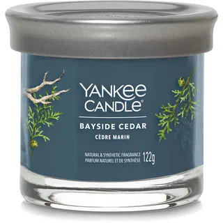 Yankee Candle Bayside Cedar Duftkerze 122 g blau