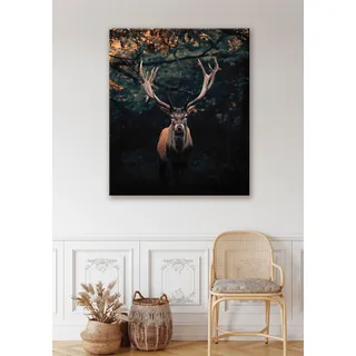 Bönninghoff Leinwandbild Hirsch Hirschbilder Hirsche Natur Rehe Tiere Wald Wildtiere 1 Stk. tlg., schwarz