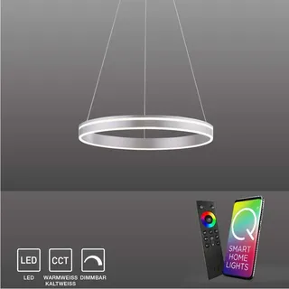 Paul Neuhaus LED Pendellampe CCT Q-Vito Ring Pendelleuchte Ring Works with Alexa, Fernbedienung silber Wohnzimmer, Esszimmer, Küche 8411-13, 8411-55, 8411-60 - Silber