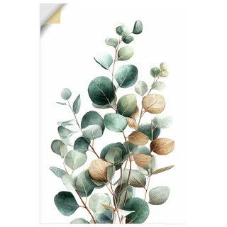 Artland Wandbild "Eukalyptus" Blätterbilder 1 Stk. tlg. als Alubild, Leinwandbild, Poster, Wandaufkleber in verschied. Größen, farbe bild(er): grün