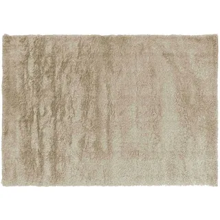 Douceur d'Intérieur Tango rechteckiger Teppich (120 x 170 cm), Taupe, Shaggy, einfarbig