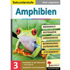 Amphibien - Merkmale, Lebensraum, Systematik