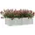 Garten-Hochbeet 160 x 80 x 45 cm Silber