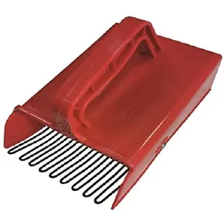 Beeren und Cranberry