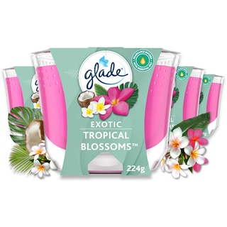 Glade Langanhaltende Duftkerze im Glas, Exotic Tropical Blossom, 4er Pack (4x224 g)