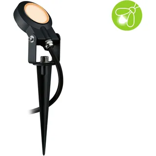 Paulmann LED Gartenstrahler Aluminium 5,2 x 29 cm 1 Stk. insektenfreundlich anthrazit