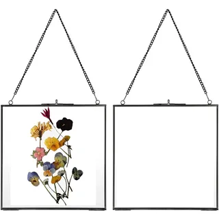 JUXYES 2 Stück Messing Wandbehang Fotorahmen, Glas Schwimmender Rahmen für Display Pressen Blumen Kunstwerk, Doppelglas Schwimmender Rahmen Stil Quadratisch Galerie Wandrahmen für Foto, Bilder,