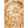 Veloursteppich 160 230 Beige