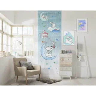 KOMAR Fototapete Vlies Winnie Pooh Piglet and Stars 100 x 280 cm