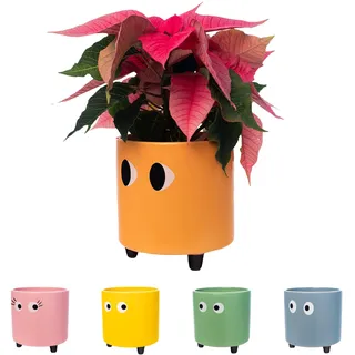 FISURA- Original-Blumentopf mit Augenmotiv. Dekoratives Pflanzgefäß für den Innenbereich. Keramik Sukkulenten Töpfe. Keramiktopf für Blumen und Sukkulenten. 13 x 12,5 cm. (Orange)