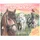 DEPESCHE Create Your Happy Horses