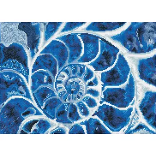 Diamond Dotz Diamond Painting Blaue Nautilus