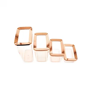 Vip Ahmet Vorratsdosen rechteckig 4er Set Gewürzdosen Frischhaltedosen Aufbewahrungsbox Küche Vorratsbehälter mit Deckel, BPA fre Kupfer/Transparenti