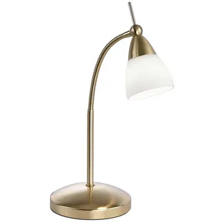 Paul Neuhaus Pino Gold