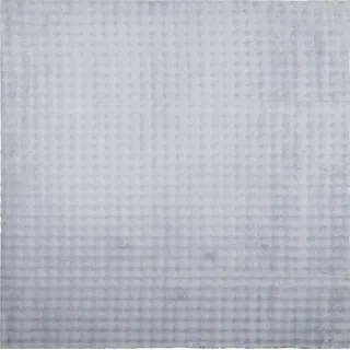 vidaXL Bereichsteppiche Quadratisch SIROLO Grau 120 x 120 cm Polyester - Grau