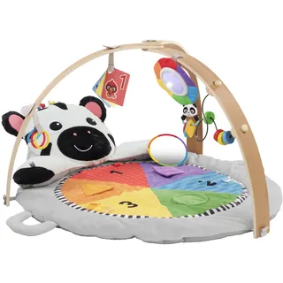 Baby Einstein Spielbogen mit Licht- und Sound
