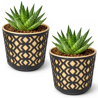 PECZEKO Matte Blumentöpfe - Deko Pflanztopf für Blumen & Kräuter - Langlebige & leichte runde Kunststoff-Pflanzentöpfe für Wohn- & Esszimmer, Küche, Balkon - 2er-Set - (Schwarz/Golden, ø 14 cm)