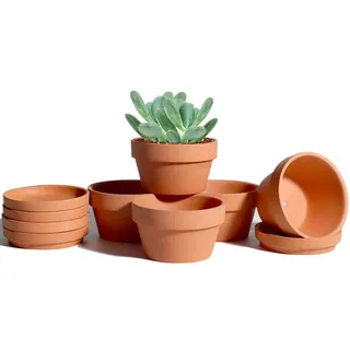 Vensovo 6er-Pack 9,4 cm Flache Terrakotta-Sukkulententöpfe mit Untersetzern