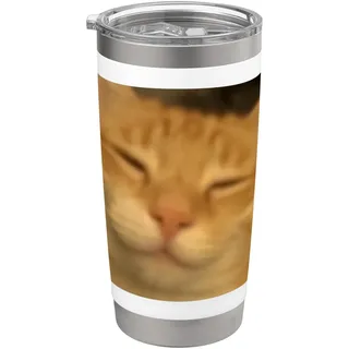 Funny Chill Orange Katzengesicht verschwommenes Foto Meme Humor Doppelwandiger Edelstahl-Thermobecher