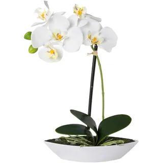 P & B Kunstpflanze , Grün, Weiß , Kunststoff , 30 cm , inkl. Topf , Dekoration, Blumen & Blumentöpfe, Kunstpflanzen