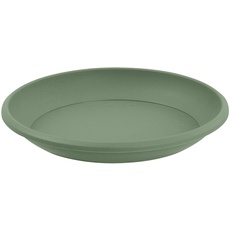 EDA Untertasse, Laurel Green, Standard