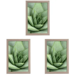 goldbuch 92 0755 Bilderrahmen Toscana aus Holz, Fotorahmen für Bild im 20x30 cm Format, Portraitrahmen mit Aufsteller & Wandhalterung, Einzelrahmen aus MDF, Foto Rahmen, Taupe (Packung mit 3)