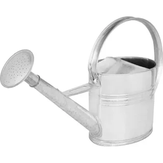 KOTARBAU® Gießkanne Metall - 10 L - Zink Gießkanne für Garten & Zimmerpflanzen - mit Abnehmbarer Brause - Pflanzen Bewässerung - für Draußen & Drinnen - verzinkter Stahl - Silber