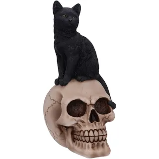 Nemesis Now Familiar Fate Dekofigur Hexen, Katze und Totenkopf, 24,3 cm