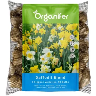 50 Narzissenzwiebeln – 6 elegante Sorten (XXL Blumenzwiebeln Größe 12 / 14 cm) - Organifer