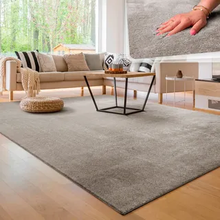 Paco Home »Cadiz 300x400cm grau