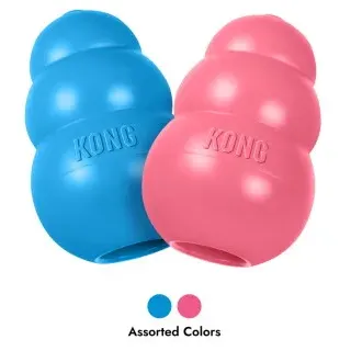 Kong Puppy M