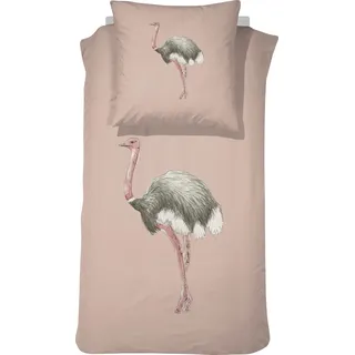 Damai Kinderbettwäsche "Sloane", pink, B/L: 135cm x 200cm, 1 Stk., 1 Stk., Renforcé, B/L: 80cm x 80cm, Renforcé, Obermaterial: 100% Baumwolle, Bettwäsche, mit Vogel Strauß