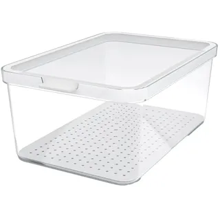 Rotho Frischhaltedose transparent 28,2 x 18,4 x 11,3 cm 4,65 l